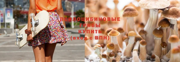 крисы Алексеевка